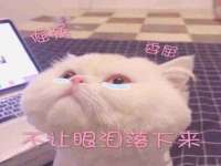 淮安浩后刚信息技术有限公司