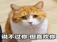 淮安浩后刚信息技术有限公司