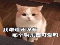 淮安浩后刚信息技术有限公司