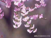 淮安浩后刚信息技术有限公司