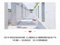 淮安浩后刚信息技术有限公司