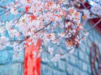 淮安浩后刚信息技术有限公司