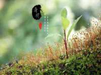 淮安浩后刚信息技术有限公司