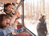 淮安浩后刚信息技术有限公司