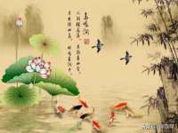淮安浩后刚信息技术有限公司