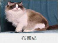 淮安浩后刚信息技术有限公司