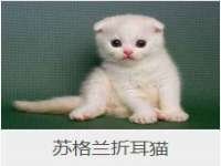 淮安浩后刚信息技术有限公司
