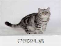 淮安浩后刚信息技术有限公司
