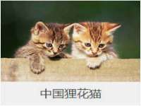 淮安浩后刚信息技术有限公司