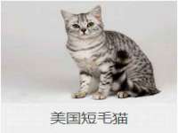 淮安浩后刚信息技术有限公司
