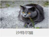 淮安浩后刚信息技术有限公司