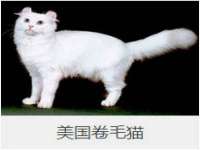 淮安浩后刚信息技术有限公司
