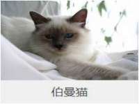 淮安浩后刚信息技术有限公司