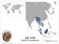 淮安浩后刚信息技术有限公司