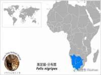 淮安浩后刚信息技术有限公司