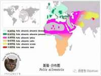 淮安浩后刚信息技术有限公司