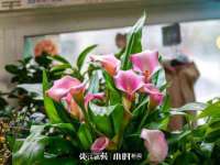 淮安浩后刚信息技术有限公司