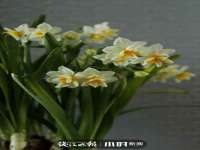 淮安浩后刚信息技术有限公司