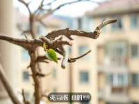 淮安浩后刚信息技术有限公司