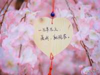 淮安浩后刚信息技术有限公司