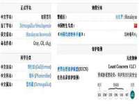 淮安浩后刚信息技术有限公司