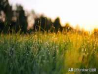 淮安浩后刚信息技术有限公司