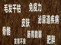 淮安浩后刚信息技术有限公司