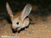 淮安浩后刚信息技术有限公司