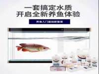 淮安浩后刚信息技术有限公司