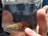 淮安浩后刚信息技术有限公司