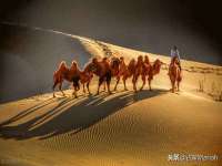 淮安浩后刚信息技术有限公司