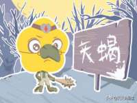 淮安浩后刚信息技术有限公司