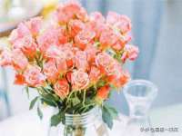 淮安浩后刚信息技术有限公司