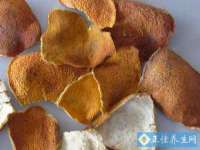 淮安浩后刚信息技术有限公司