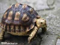 淮安浩后刚信息技术有限公司