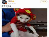 淮安浩后刚信息技术有限公司